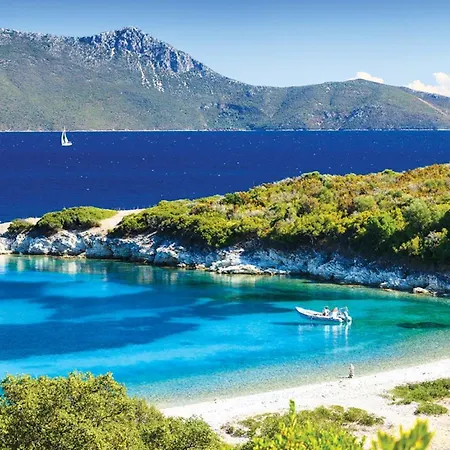 Synthesis فيلة *