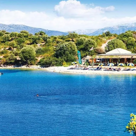 Synthesis فيلة *